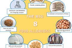 Food-allergens-Photo