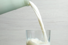 front view pouring milk into the little glass on the white background drink creamery dairy milk product