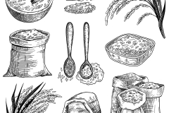 Rice grain in sacks and bowls sketch set