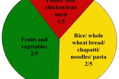 Mauritian-Plate-Model-Source-Ministry-of-Health-and-Quality-of-Life-Mauritius